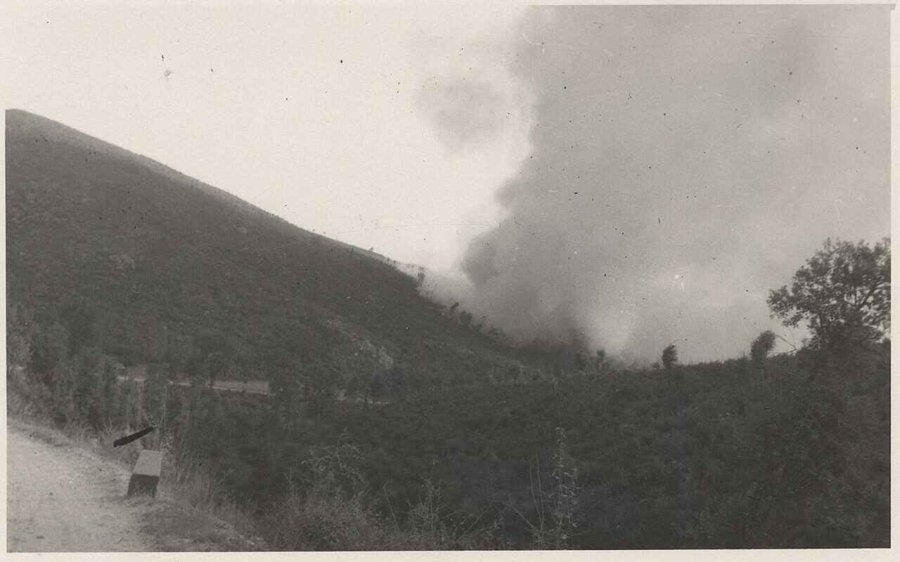 Feu de forêt (illustration)