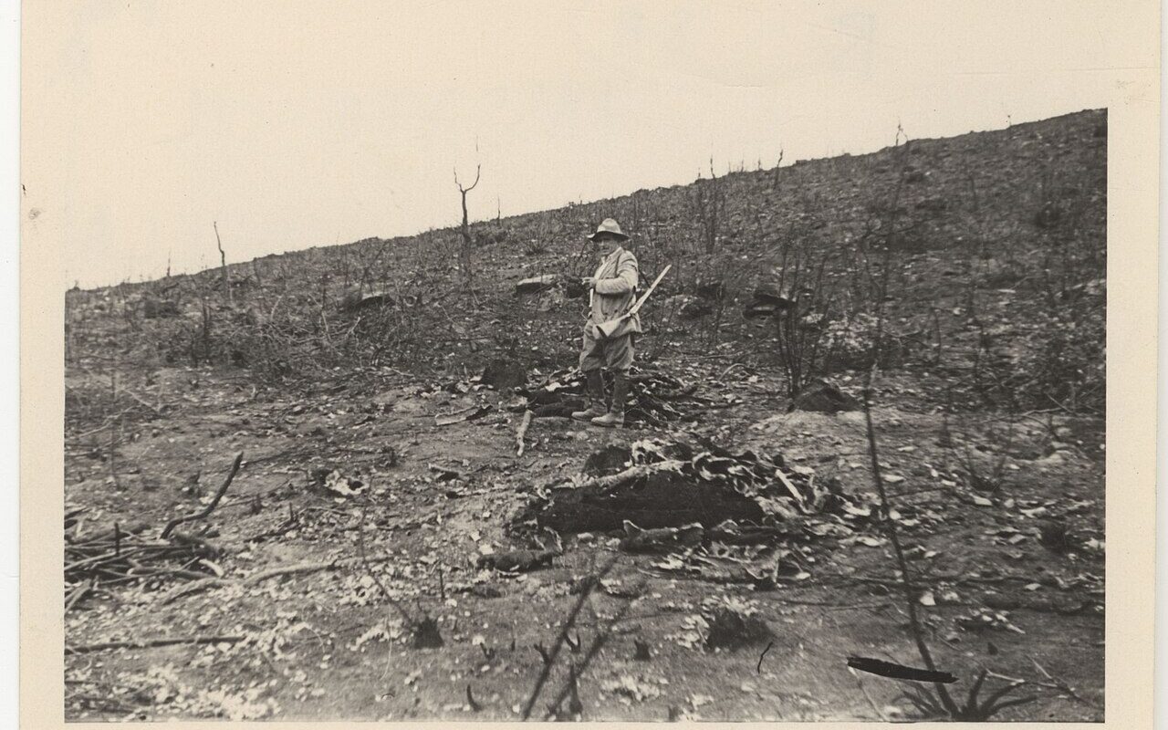 Feu de forêt (illustration)