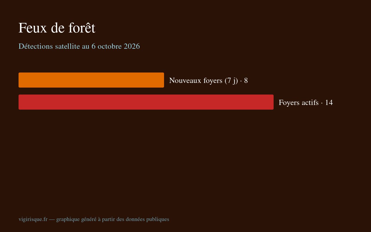 Feux de forêt : 8 nouveaux foyers détectés en une semaine